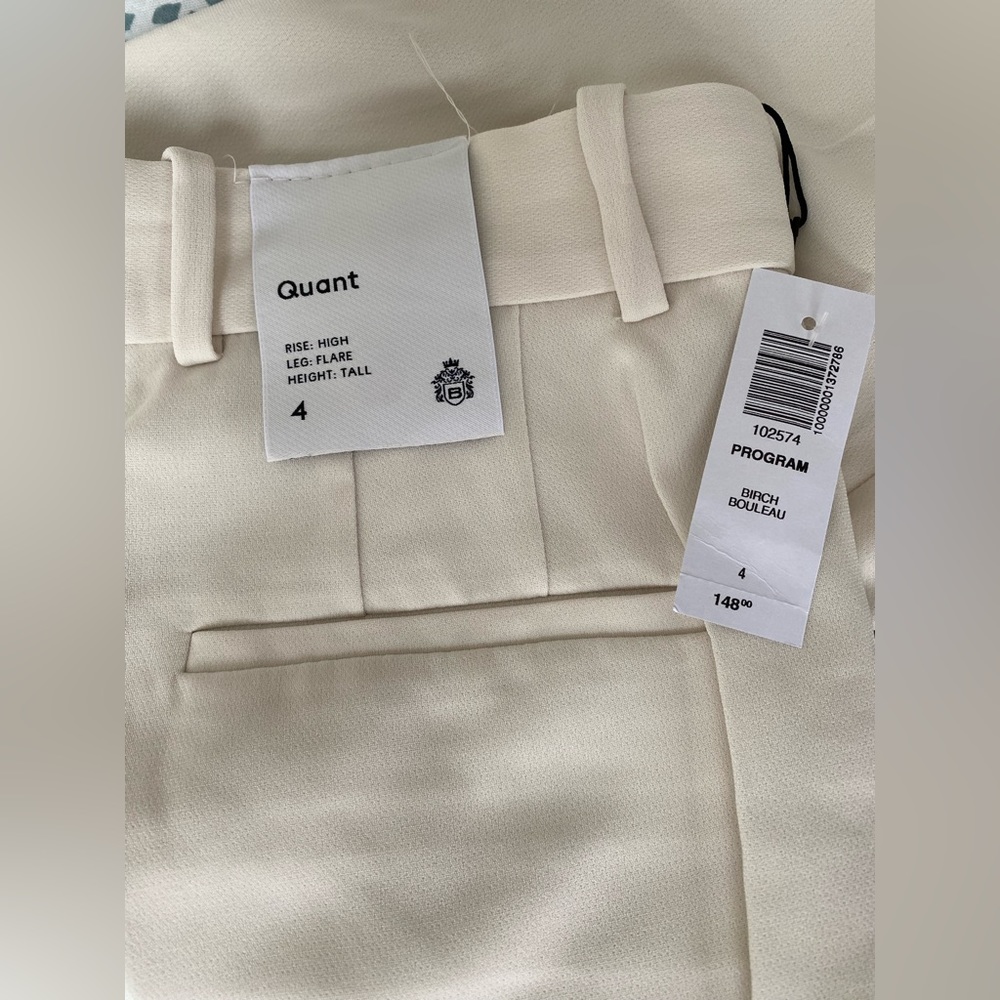 Aritzia Program Pants - Picture 11 of 16